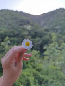 632697804: Chica busca chico en La Coruña