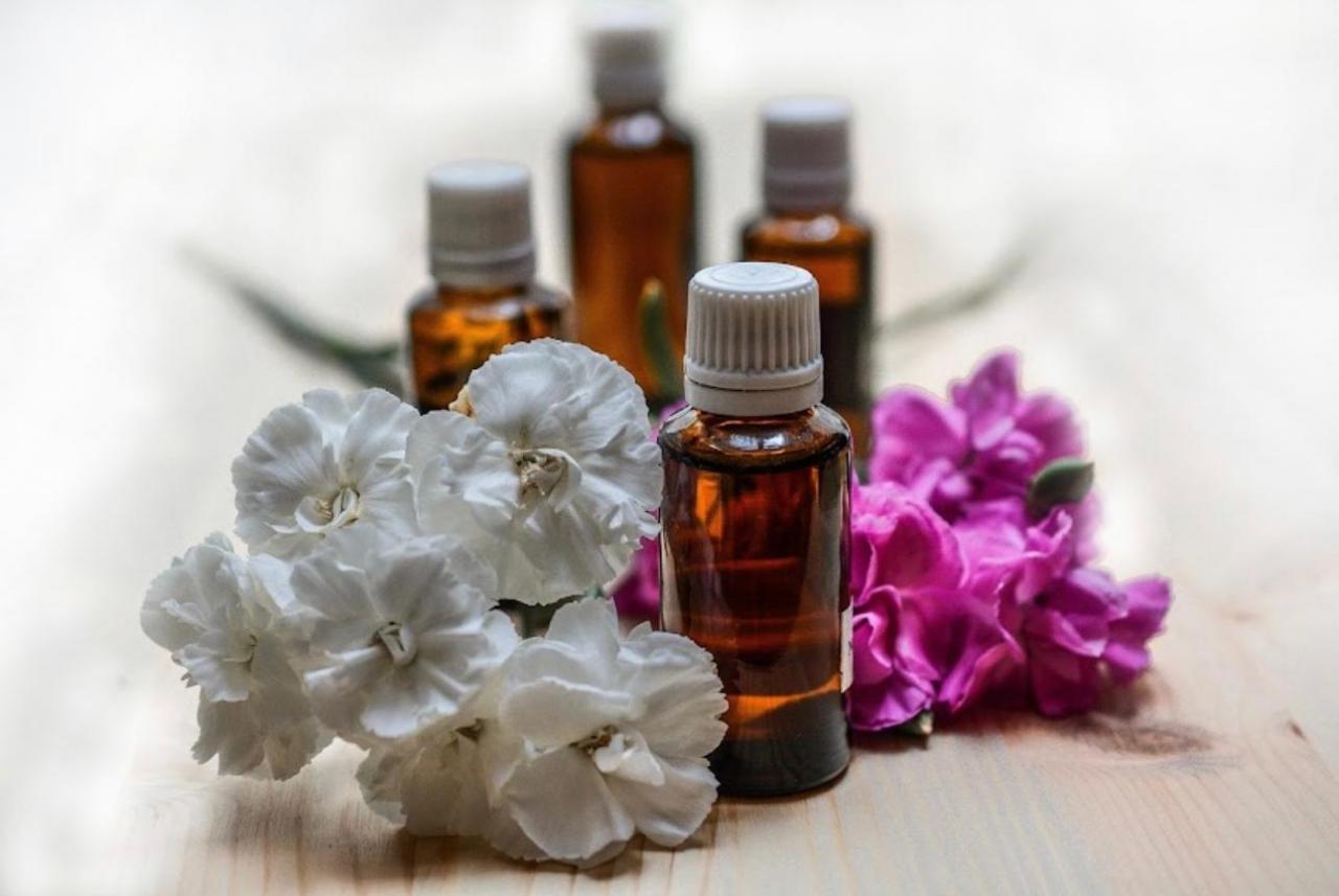 Chico busca chica en Guipúzcoa: 