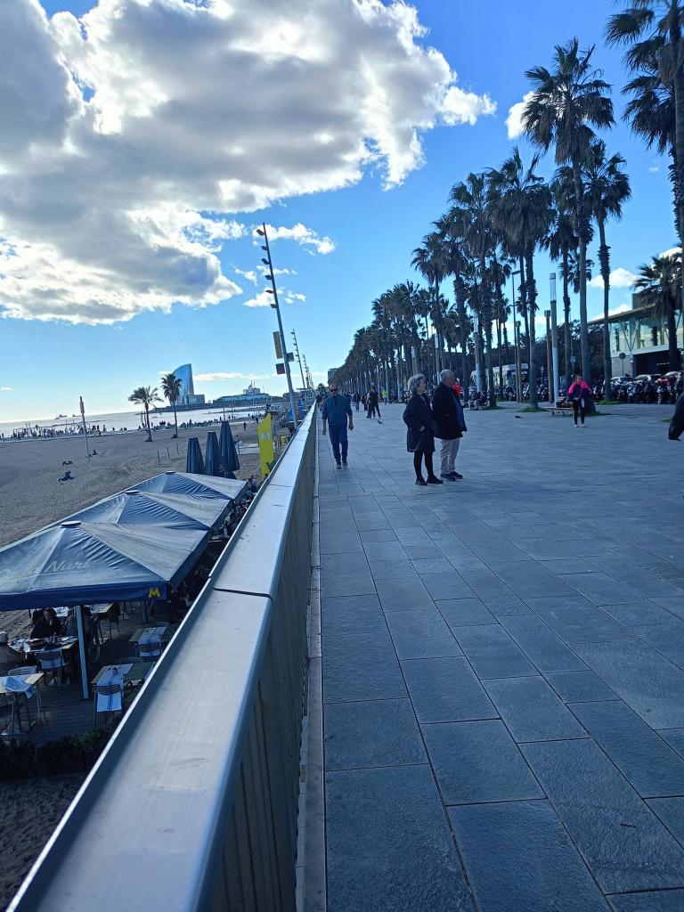 Chica busca chico en Barcelona: 