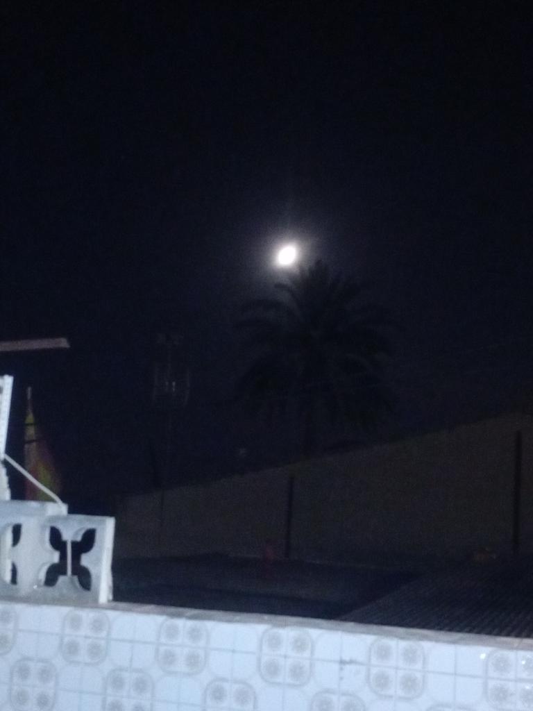 613497548: Chica busca chico en Alicante