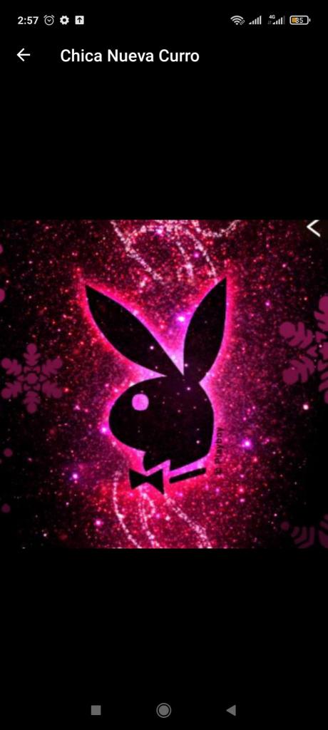 Chica busca chico en Alicante: 