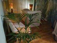 613917209: Chica busca chico en Cantabria