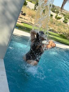 604250040: Chica busca chico en Granada