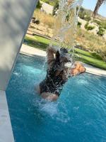 604250040: Chica busca chico en Granada