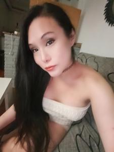 Travesti en Lérida: 
