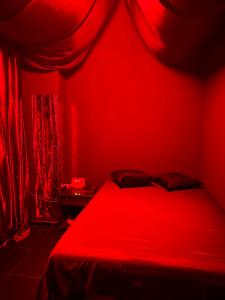 Chica busca chico en Madrid: 