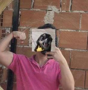 643295684: Chico busca chica en Murcia