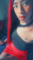 611275300: Travesti en Alicante