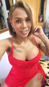 684794899: Transexual en Valencia