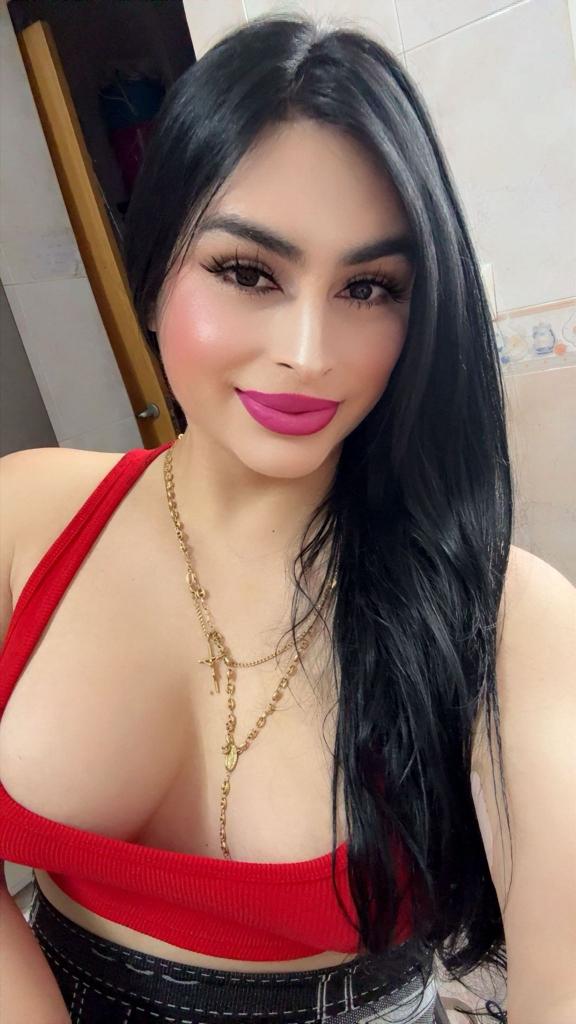 Transexual en Alicante: Transexuales y Travestis