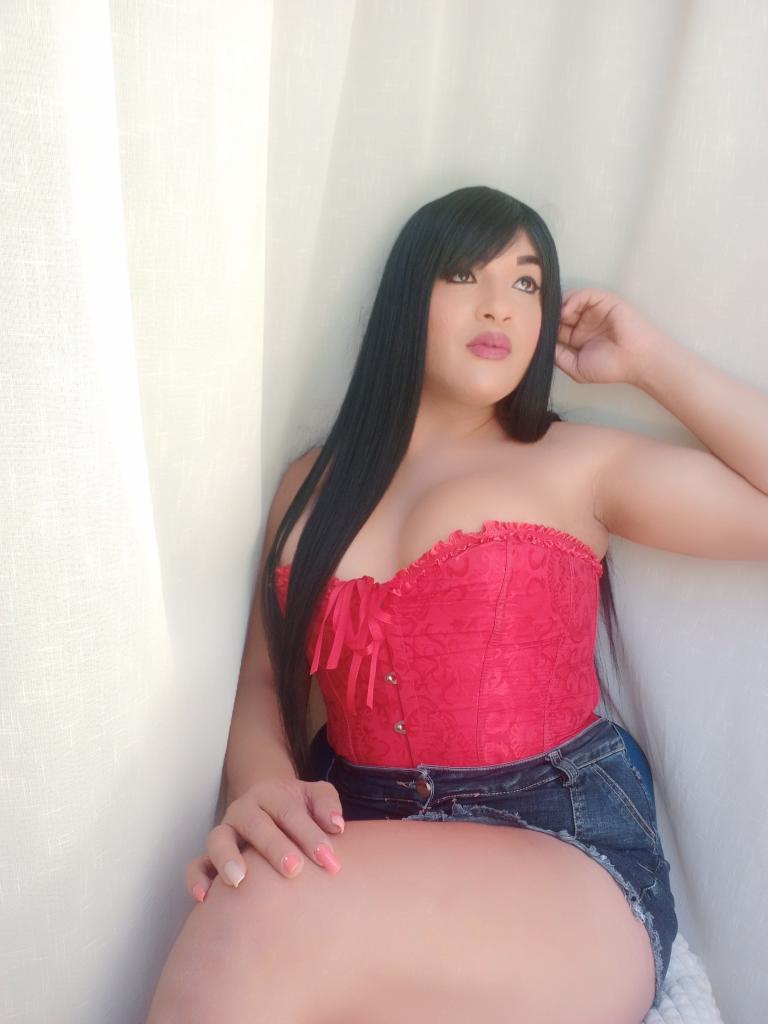 Travesti en Castellón: 
