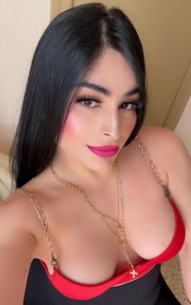 Transexual en Alicante: 