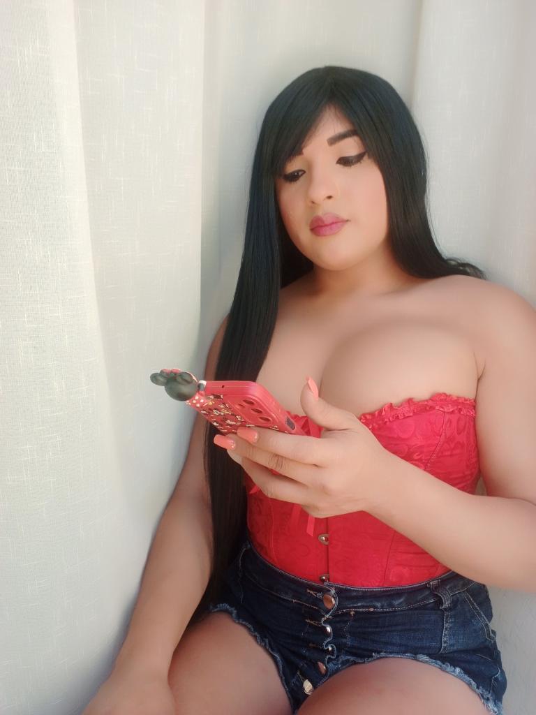 Travesti en Castellón: 