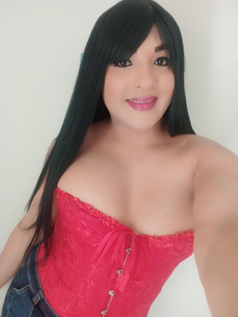 Travesti en Castellón: 