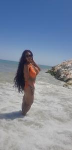 Travesti en Málaga: 