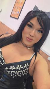 638407172: Transexual en Alicante