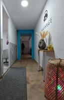 641286869: Chica busca chico en Gerona