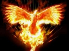 623573471: Chica busca chico en Barcelona