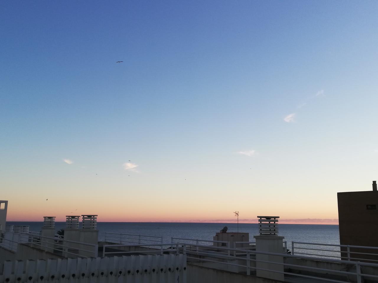 624372423: Chico busca chica en Mallorca