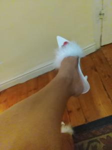 604230421: Chica busca chico en Cantabria