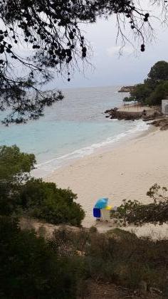 661444581: Chica busca chico en Mallorca