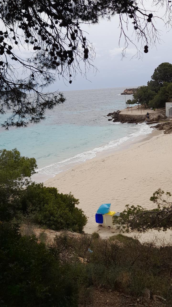 Chica busca chico en Mallorca: 