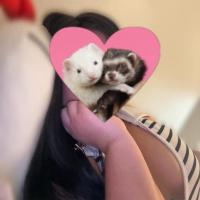 613412481: Chica busca chico en Madrid