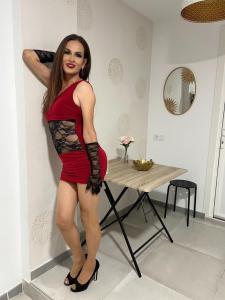 Transexual en Las Palmas: 