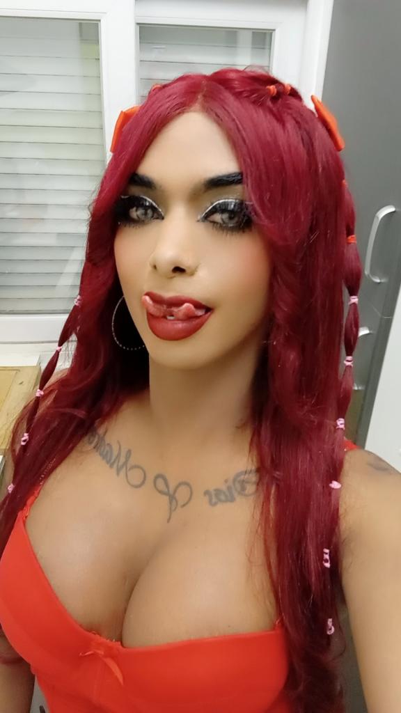 Transexual en Asturias: Transexuales y Travestis