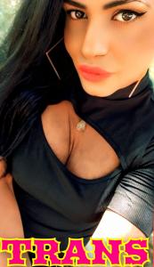 Travesti en Castellón: 