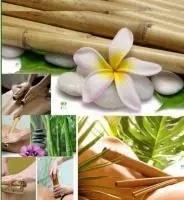 624751611: Chica busca chico en Guipúzcoa