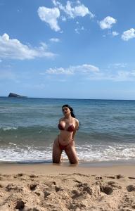 Travesti en Alicante: 