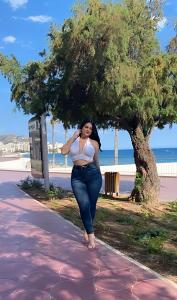 Transexual en Alicante: 