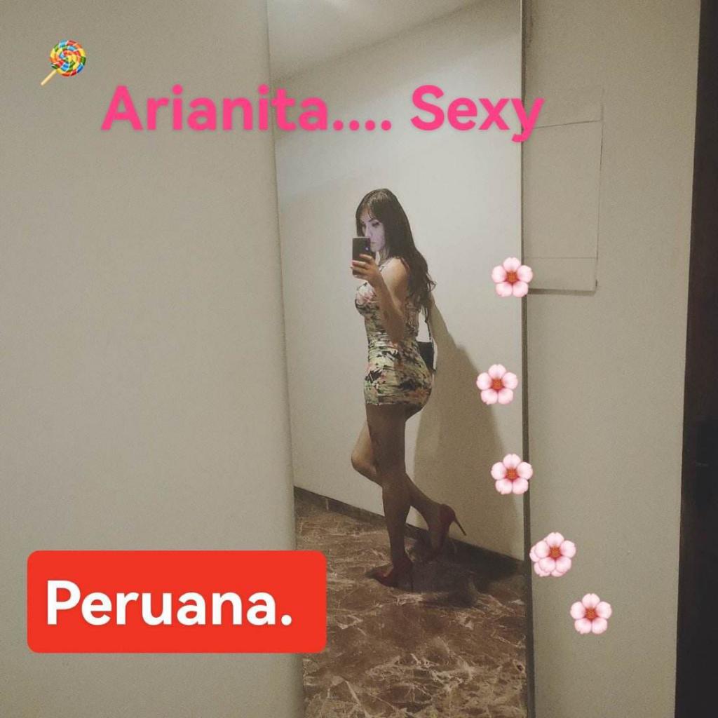 742098609: Transexual en Navarra