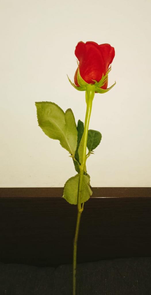 Chica busca chico en Albacete: 