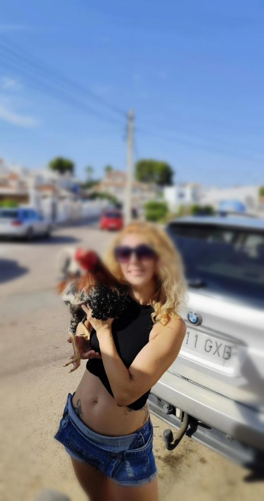 Chica busca chico en Alicante: 