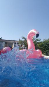 Chica busca chico en Sevilla: 