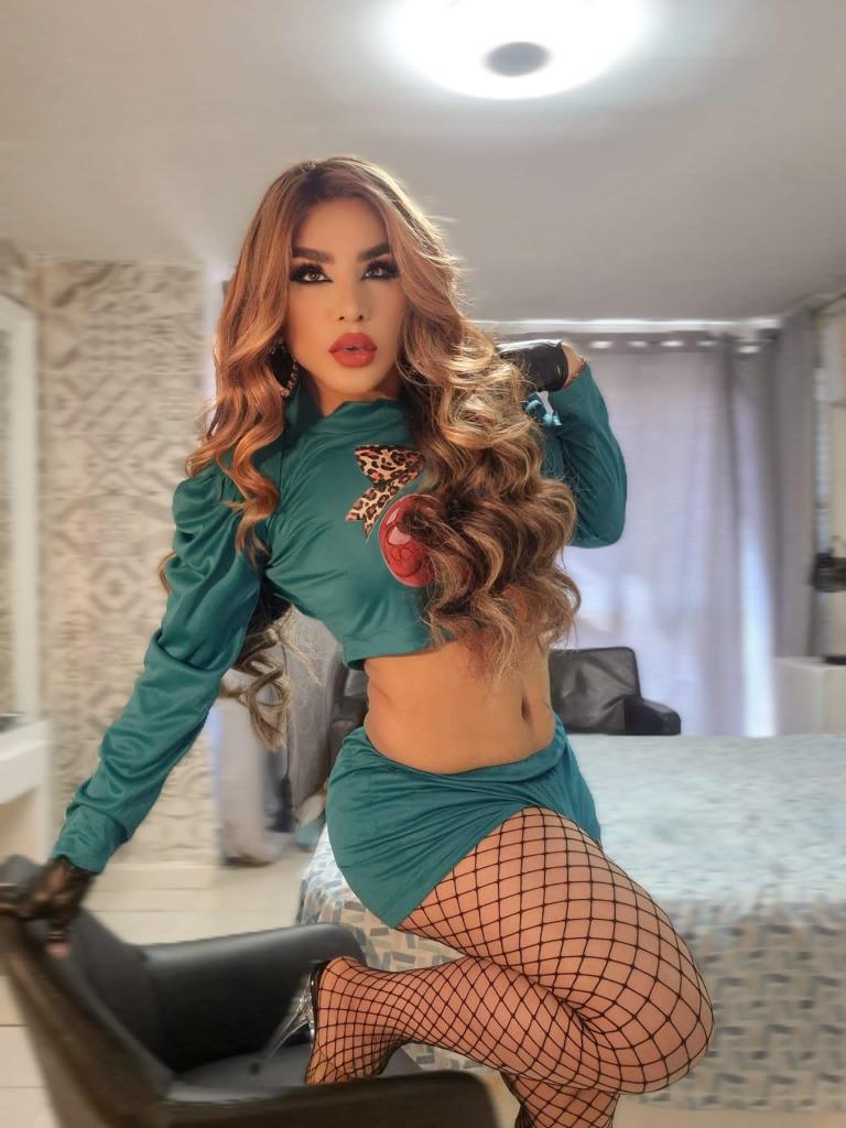 Travesti en Alicante: 