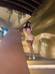 664702811: Travesti en Mallorca