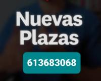 613683068: Chica busca chico en Madrid