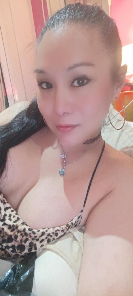 Travesti en Lérida: Transexuales y Travestis