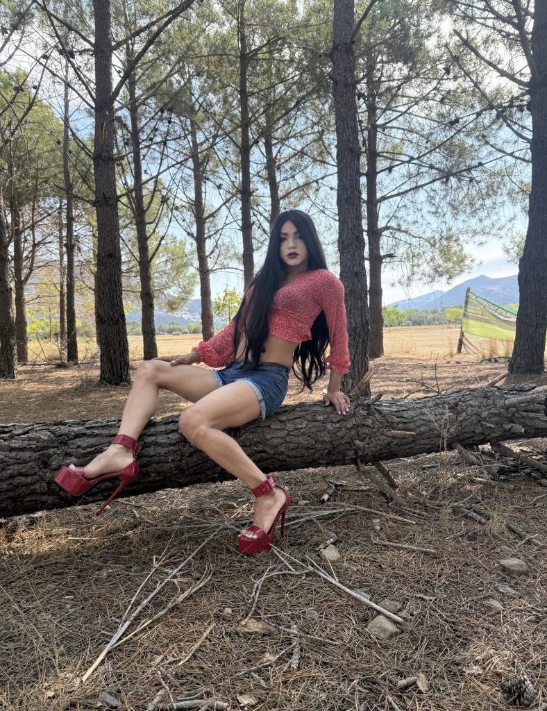 Transexual en Gerona: 