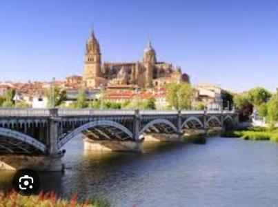 Chico busca chica en Salamanca: 
