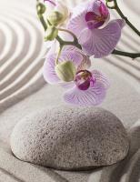 742084649: Chica busca chico en Madrid