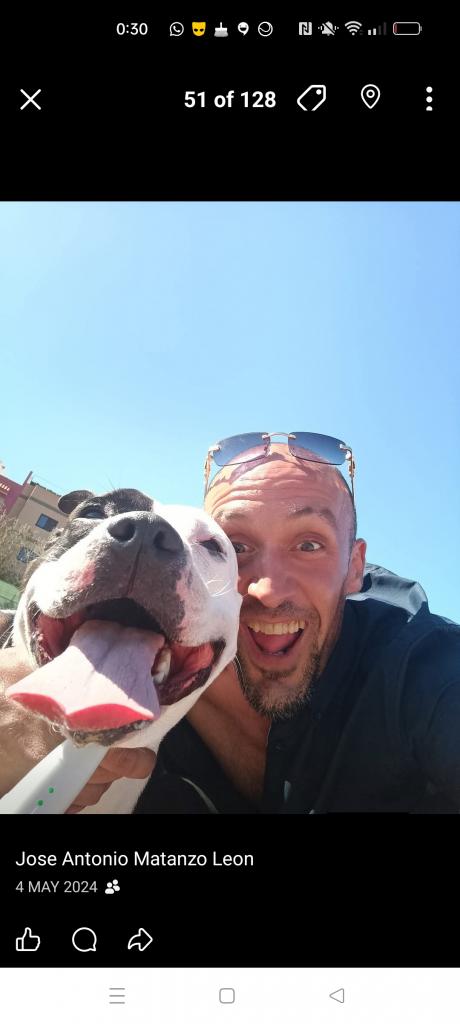 Chico busca chica en Las Palmas: 