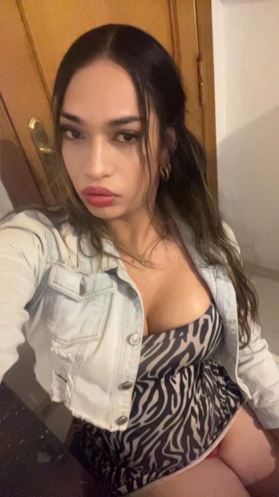 Transexual en Cantabria: Transexuales y Travestis
