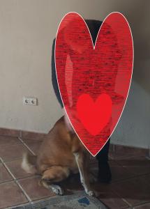 612297401: Chico busca chica en Granada