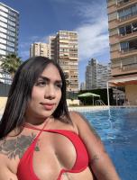641827121: Travesti en Alicante
