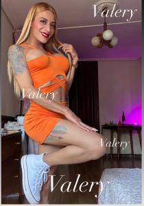 Transexual en Pontevedra: 