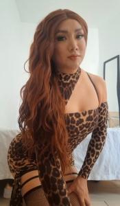 Transexual en Barcelona: 